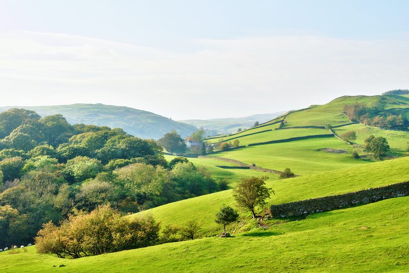 Tips for moving to the countryside